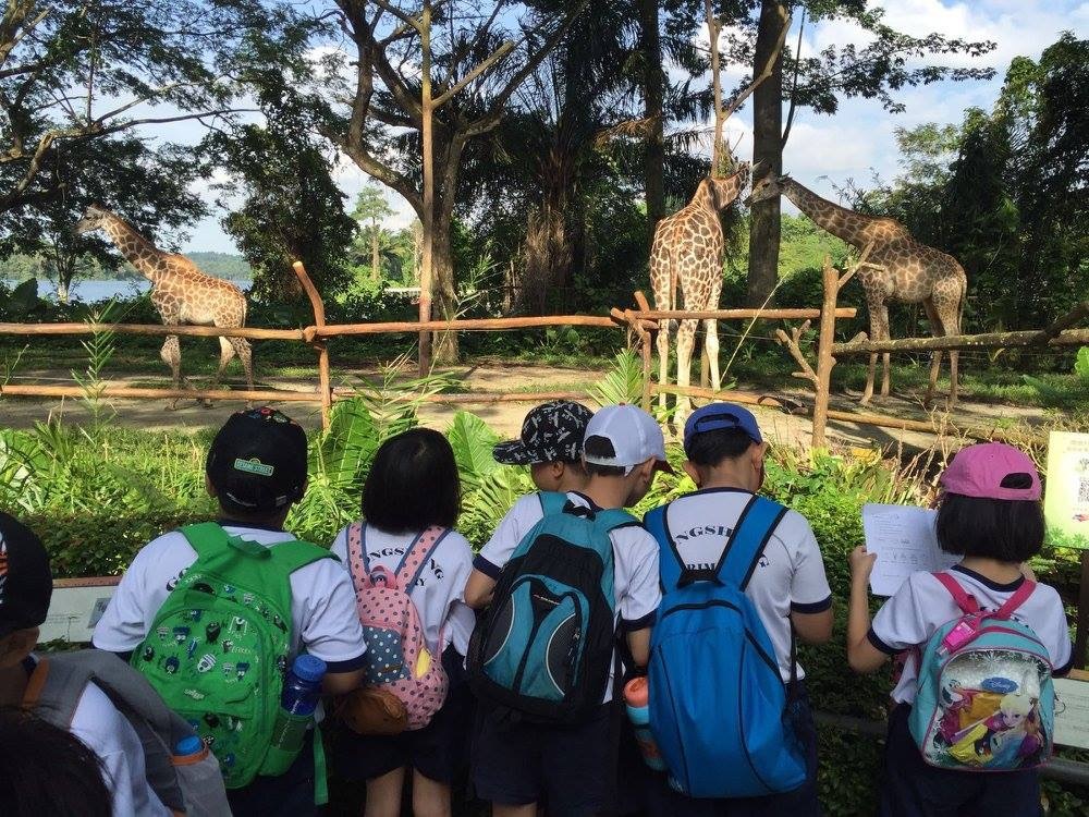 Geylang properties: Only 1km from Tropika East, Gongshang Primary School is a school with the best training quality in this area.
